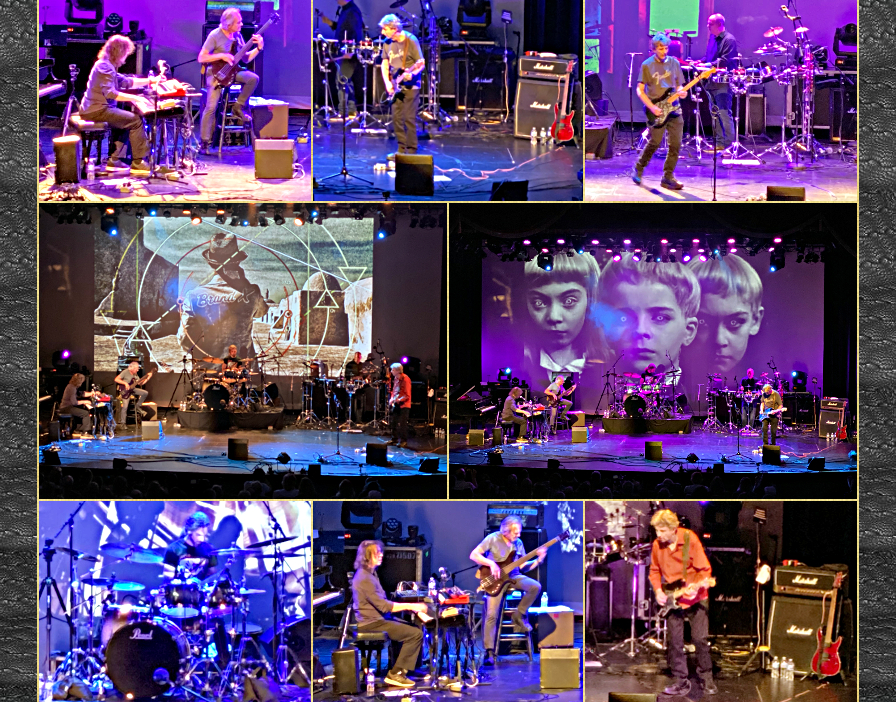 BrandX2019-10-12ProgstockRahwayNJ (4).jpg